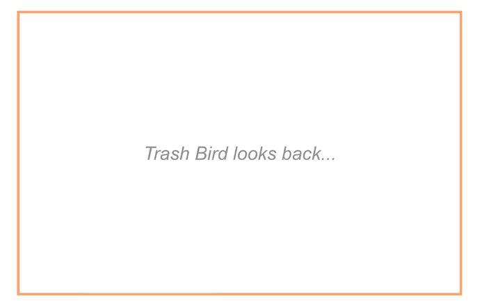 Trash Bird - episode 164 - 1